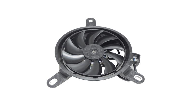 FAN (RZ250-S)